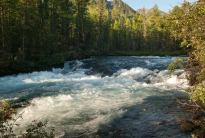 Жомболок, пор. 42. Крупный план