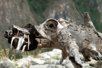 Крокодил из нерукотворного музея