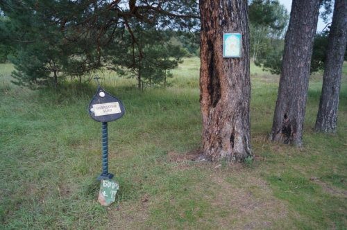 ������� ����. ������������ �����