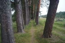 ������� ����. ������������ �����. ���� 4