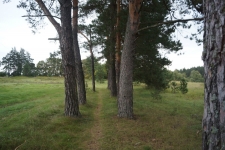 ������� ����. ������������ �����. ���� 5