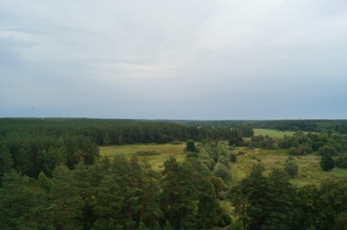 ��� �� ������� ���� � �������� �����. ���� 3