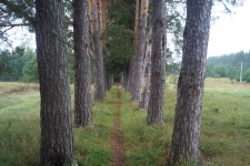 ������� ����. ������������ �����. ���� 6