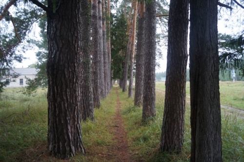 ������� ����. ������������ �����. ���� 8