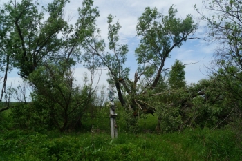 Вид на остатки урочища