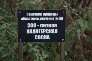 Фото без названия