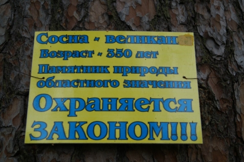 И это фото без названия