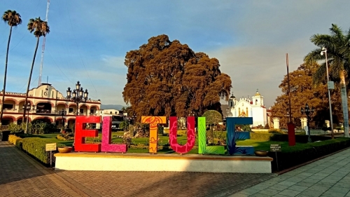 У дерева Туле