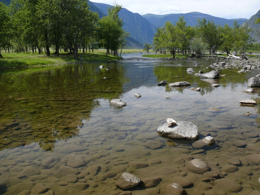 Алтайская вода