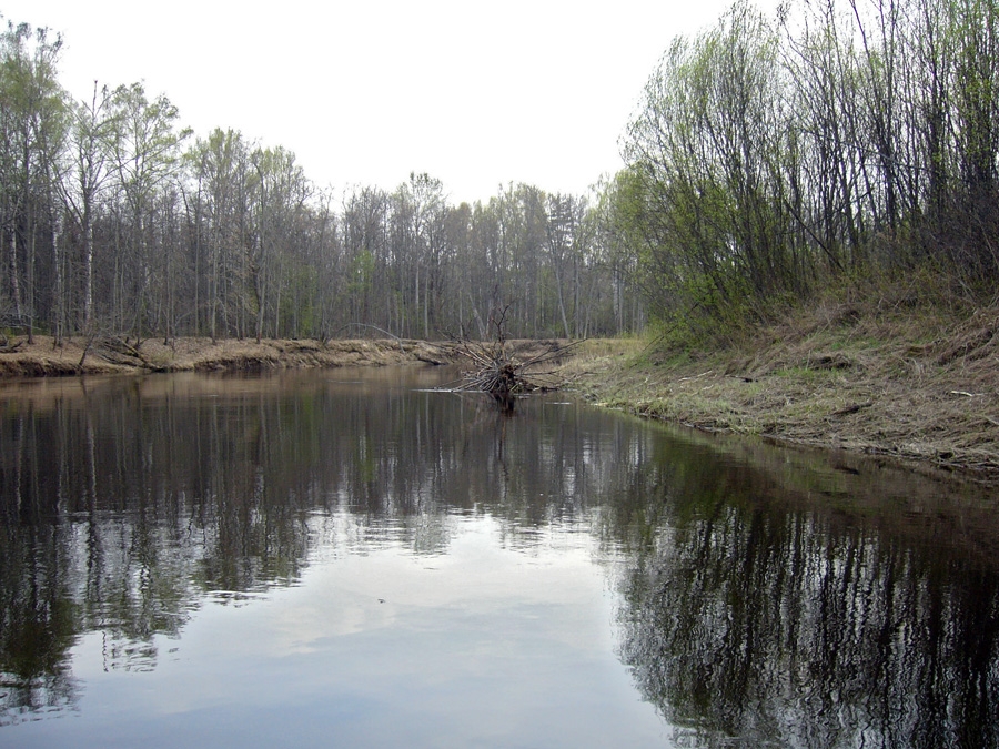 Поворот с корнем