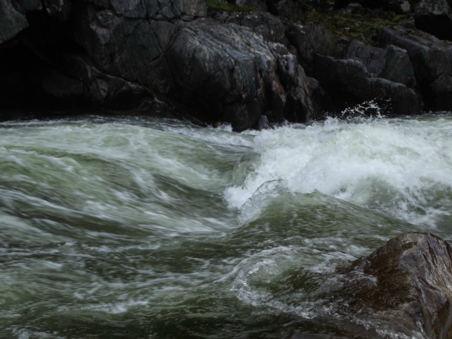 Водичка