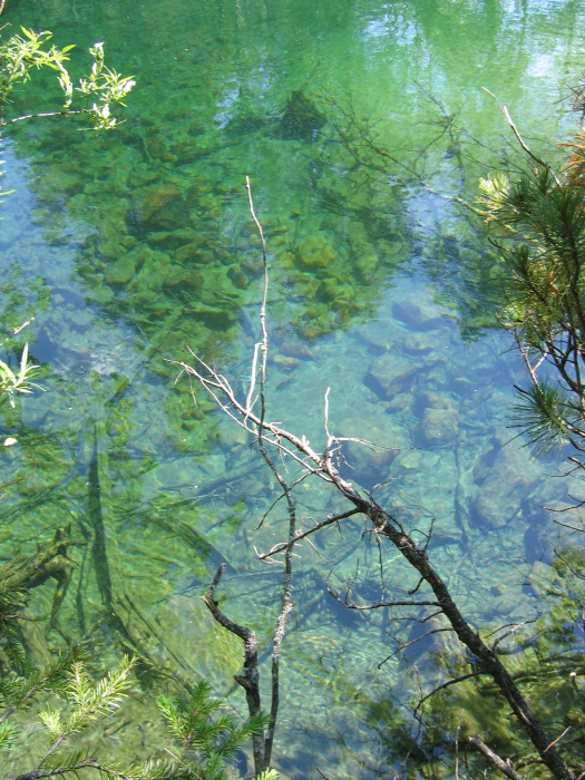 Вода Правой Фролихи