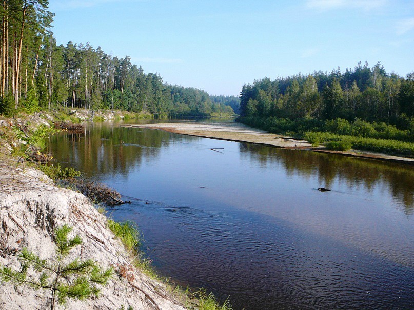 Поход выходного дня по реке Лух. Фото 7