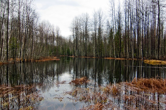 Неизвестный Керженец. Фото 52