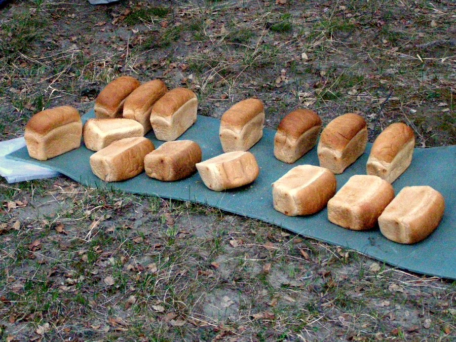 Выгул хлеба