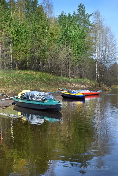 Красавицы наши
