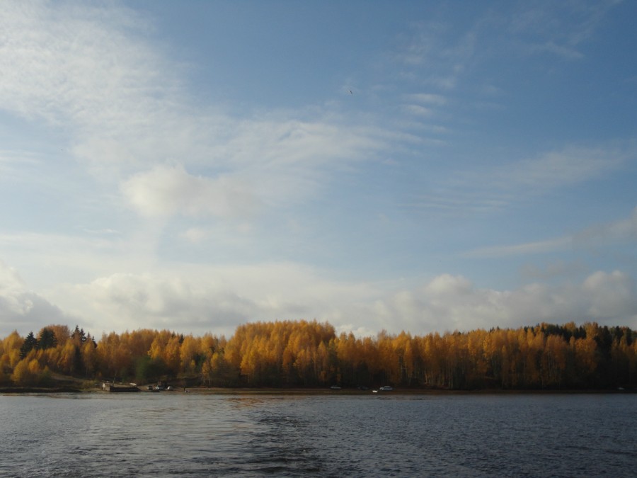 Берег в Быстрице