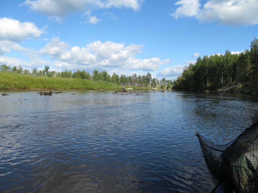 Что только вода не вымоет со дна..