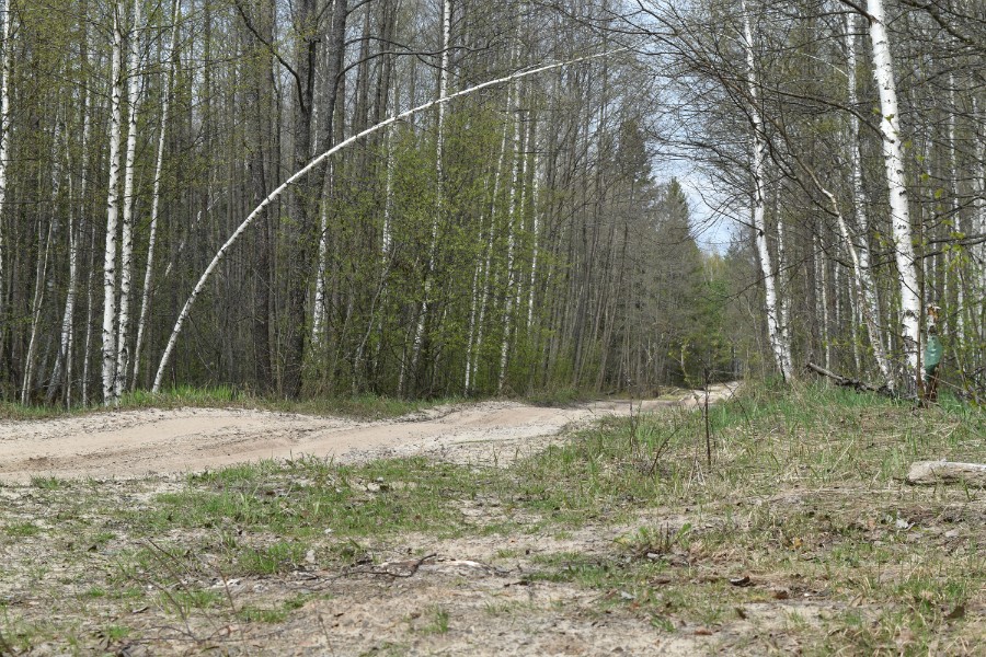 Дорога вперёд. Вид от урочища Арья