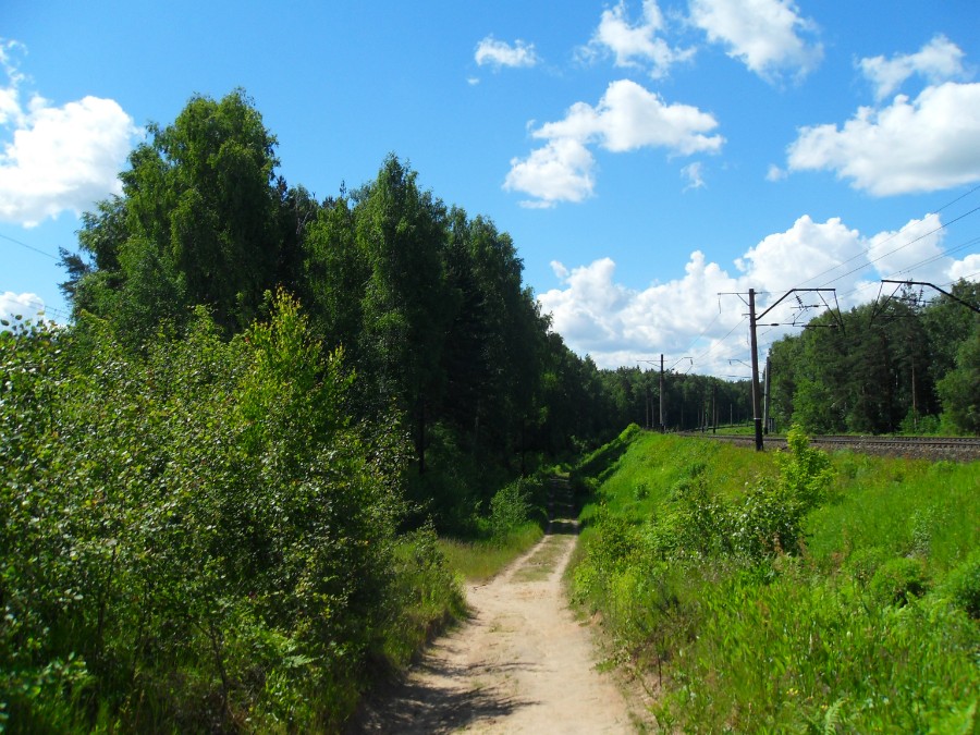 Дорогой от ст. Рекшино