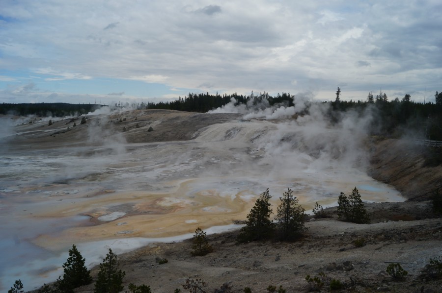    (Norris Geyser Basin),  9