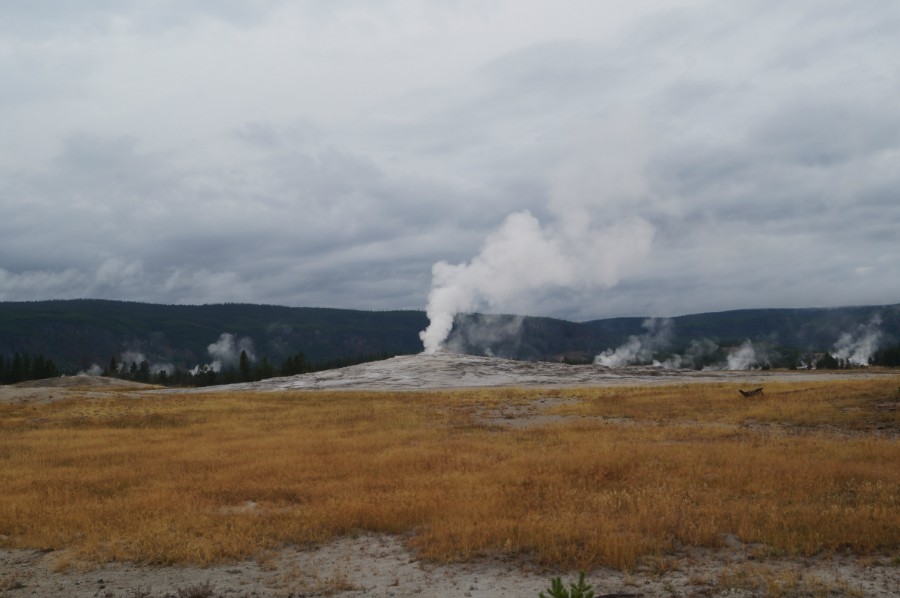    (Old Faithful Geyser) ""