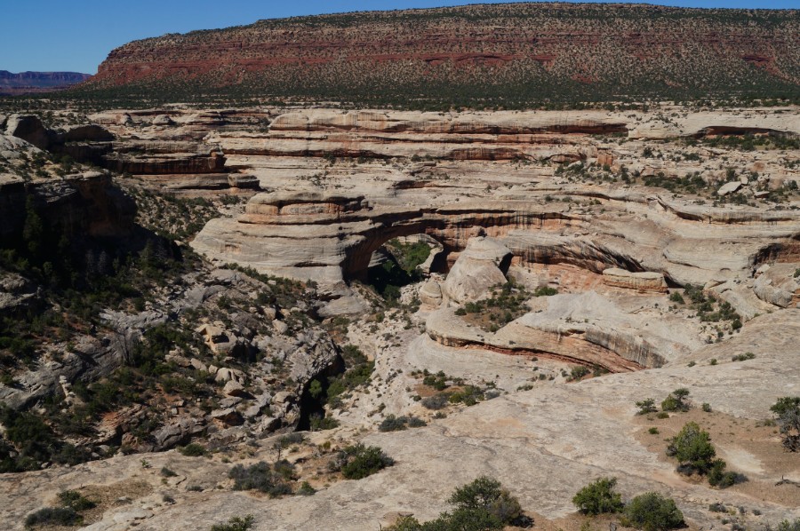     (Natural Bridges)