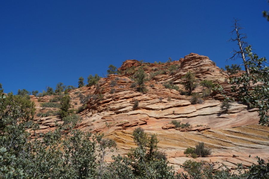     .   (Zion National Park),  4