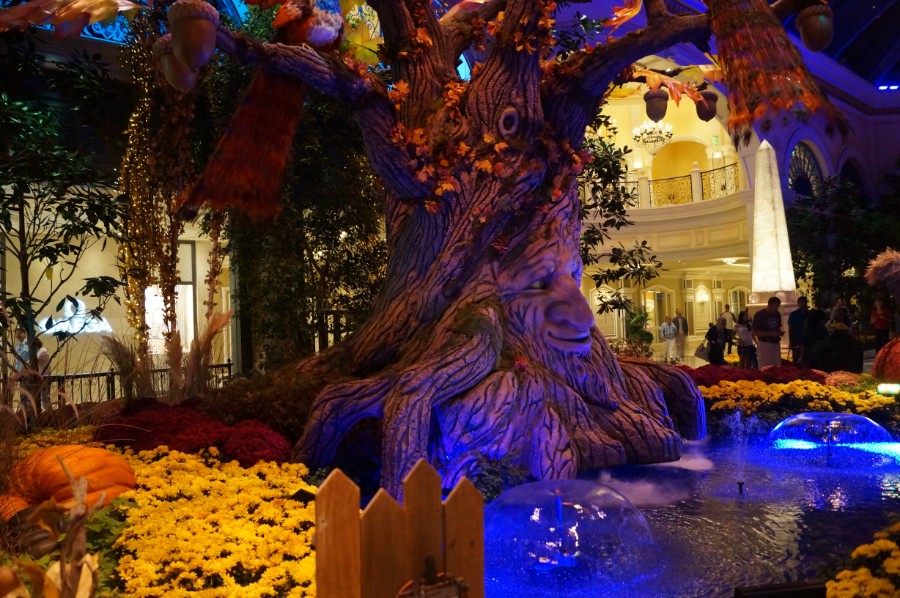      (Bellagio Hotel and Casino 5* )