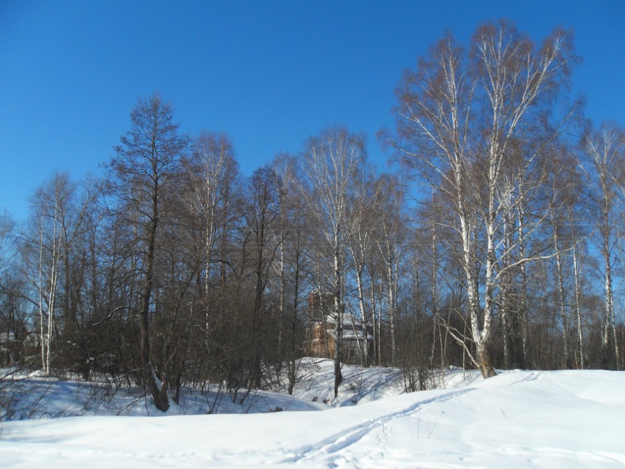 Разрушенная церковь в с. Мамакино. Фото 1