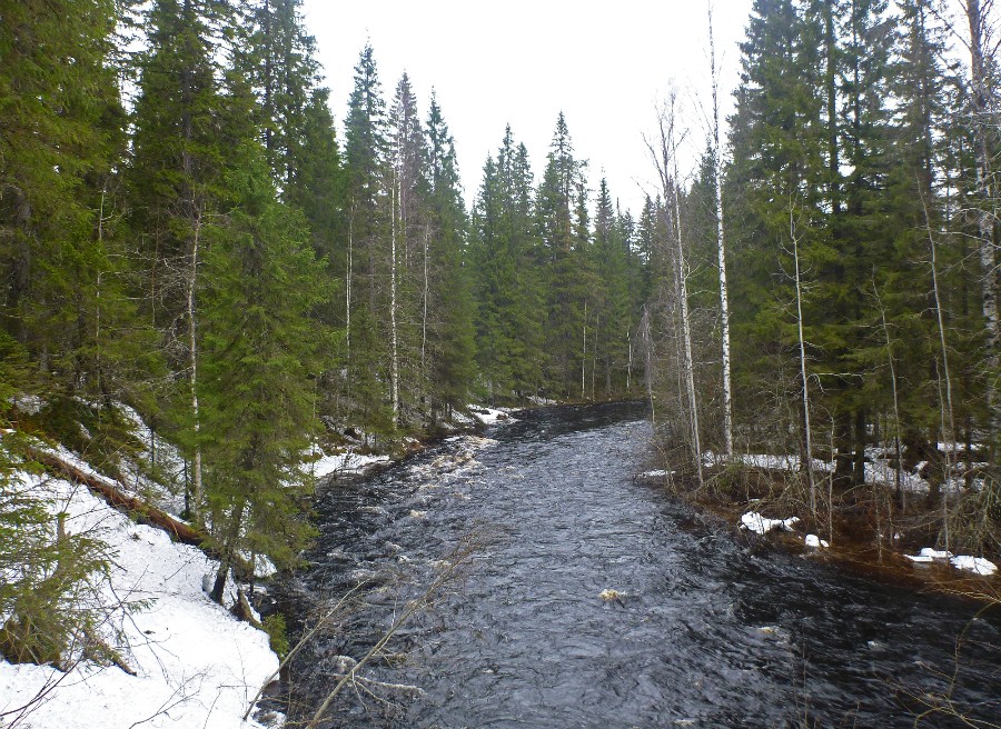 Первые шиверки Черневского порога. Фото 1