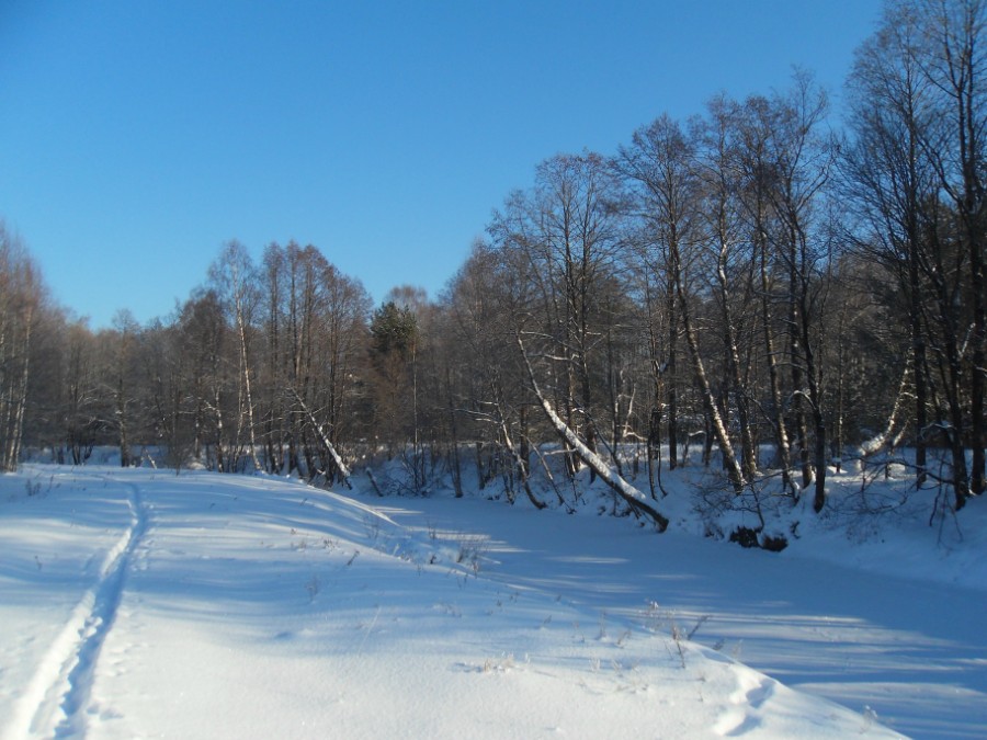 На берегу Кезы (река ниже д. Завражное). Фото 1