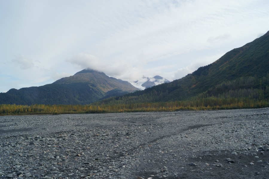    Exit Glacier