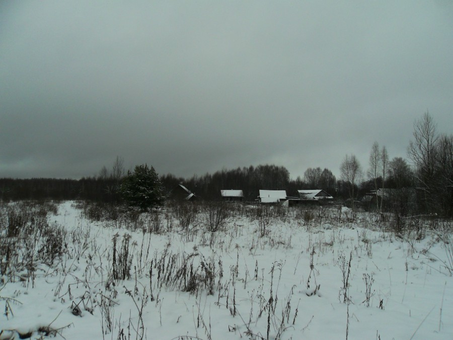 У Зименок