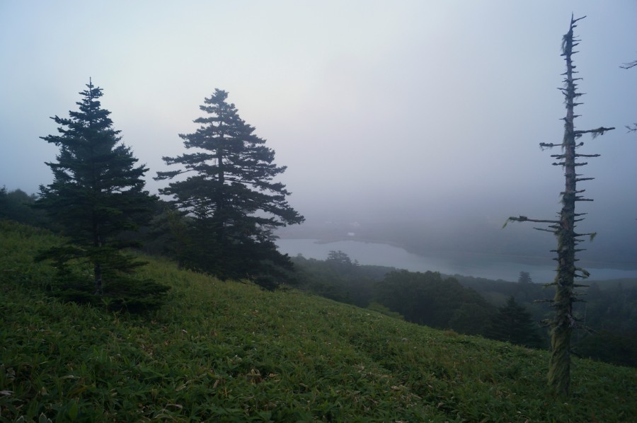 �������������� �� ������ � �������� �����