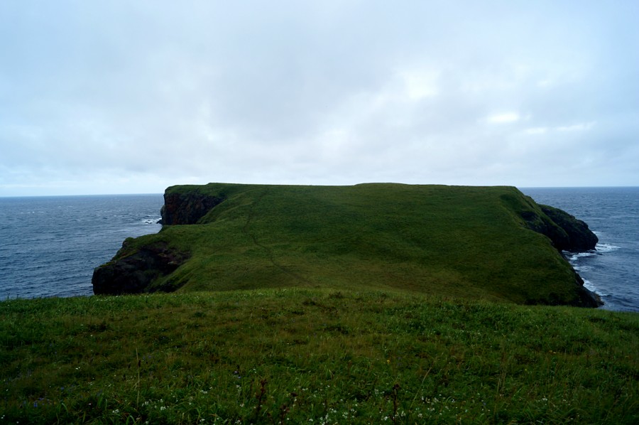 ��� ������� � ����� ���� �����