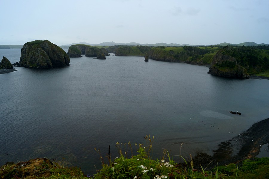 ����� ����������. ������ ����� �������� ���� �� �������� �/� "����� � ������������ ����������� ��������� �����" � �������� ��������� � ������� ����. ���� 3