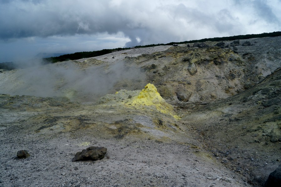 ����� �������