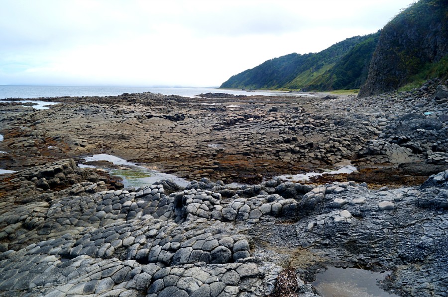 ������������ �������� ���� ����������