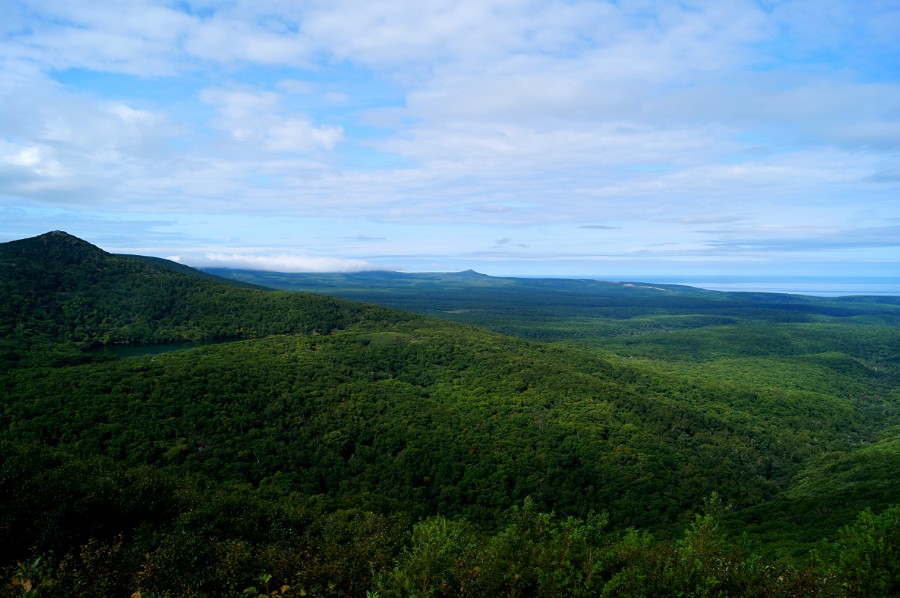 ������ ������. ��� �� ��������� �������� �� ������ �� ������ ����������