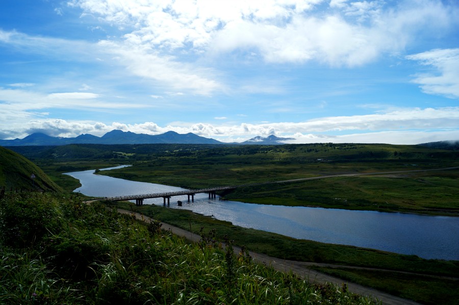 ���� ����������. ������