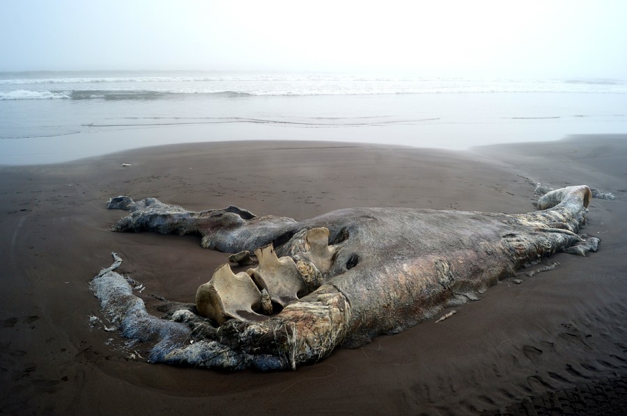 ����� ���� � ������ �������