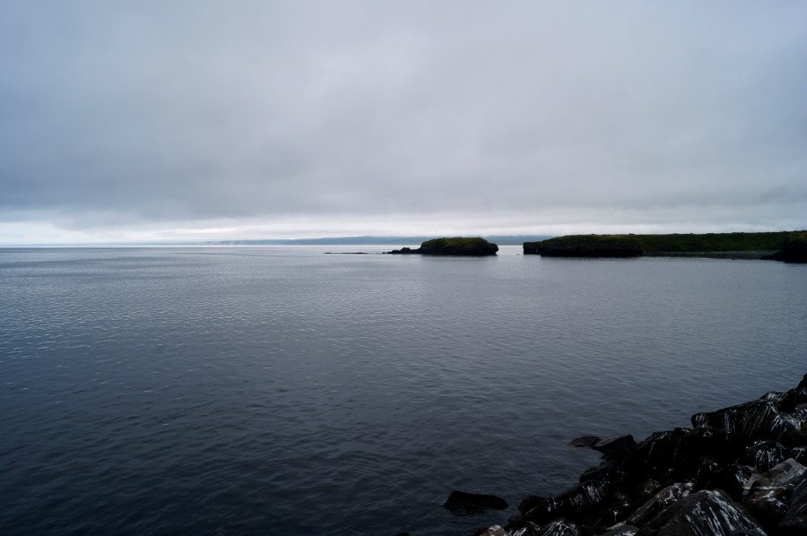 ��� �� ����� ����� ��� 