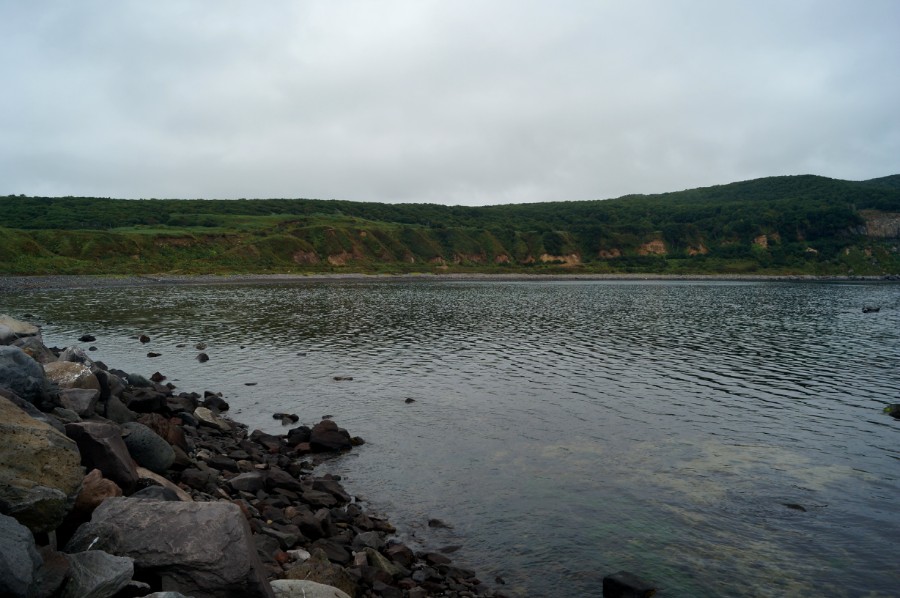 ����� ���������. ����� �� ���� ����� � "��������� �������"