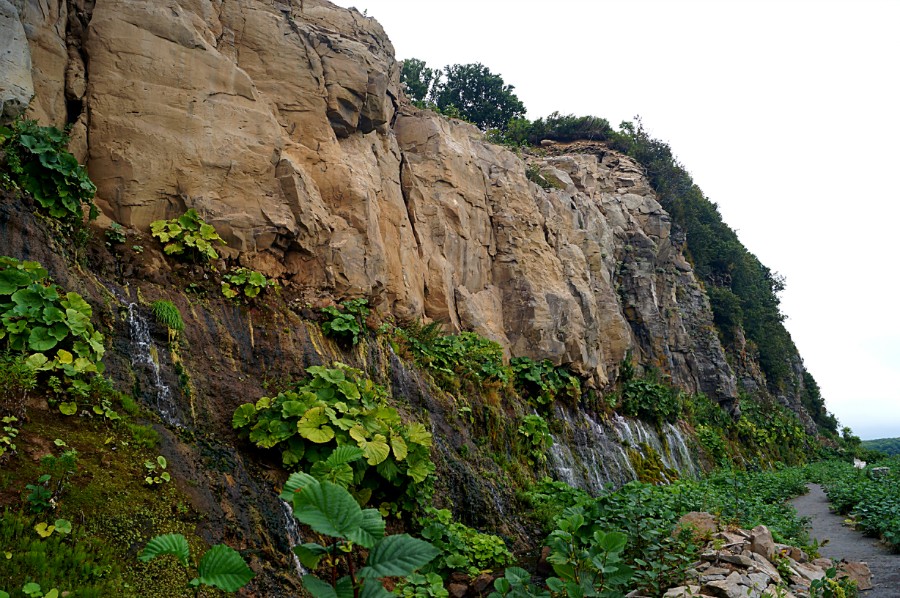 �������� ����� �� ������� ������