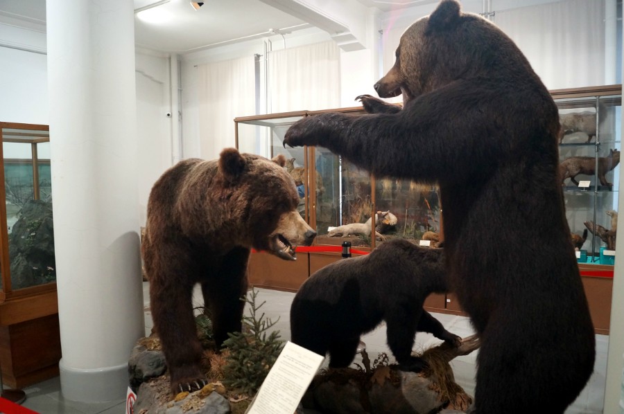 ��� ������� � ����������� ������������� �����