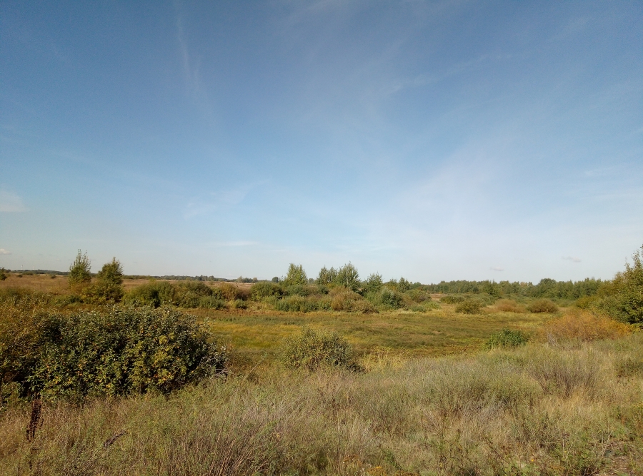Озеро Теплое или что от него осталось (Борский район). Фото 1