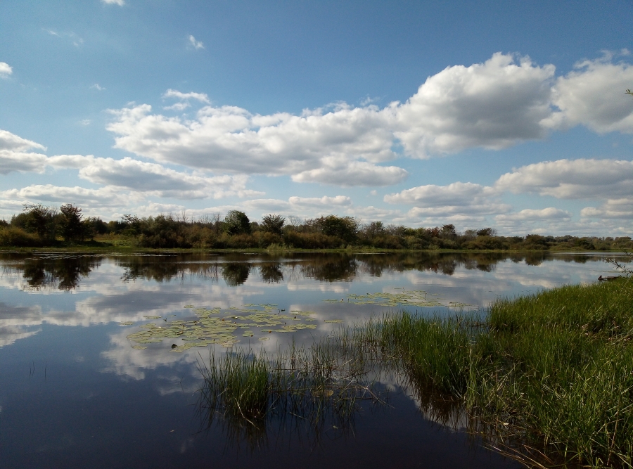 Озеро Муромское. Восточная часть (Борский район). Фото 2