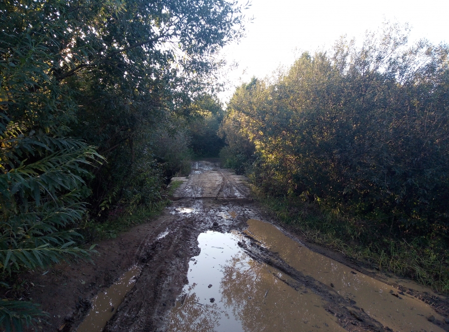 К мосту через Везлома
