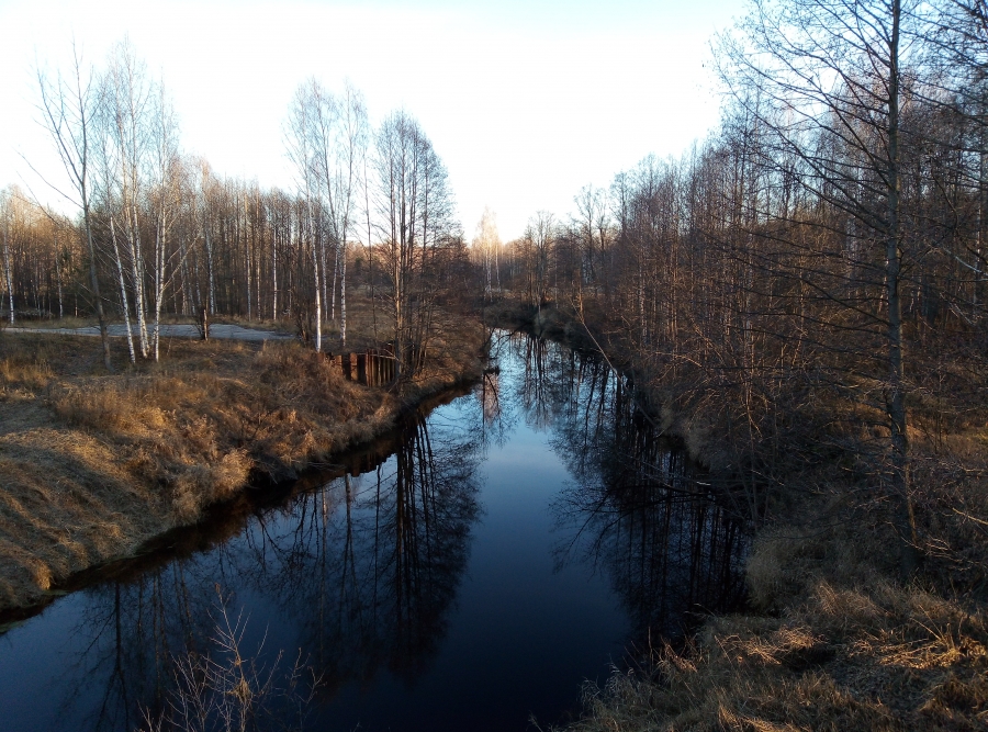 Река Кеза ниже моста на дороге в село Кресты